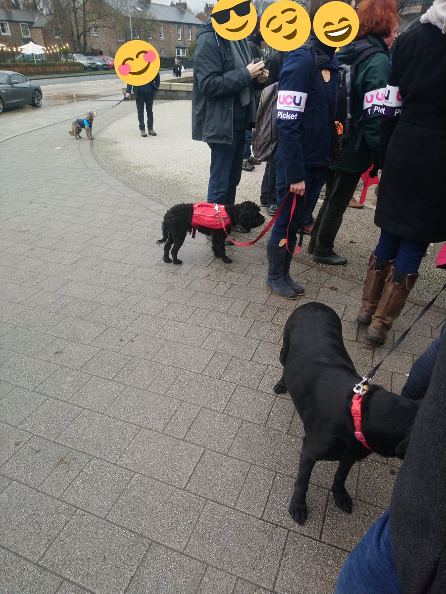 RutterNik's tweet photo. Our four legged friends were well represented today.
#dogsatpickets #dogsonstrike #UCUStrikesBack #durhamuniversity #UCUstrikes https://t.co/XZOxqW3ysT