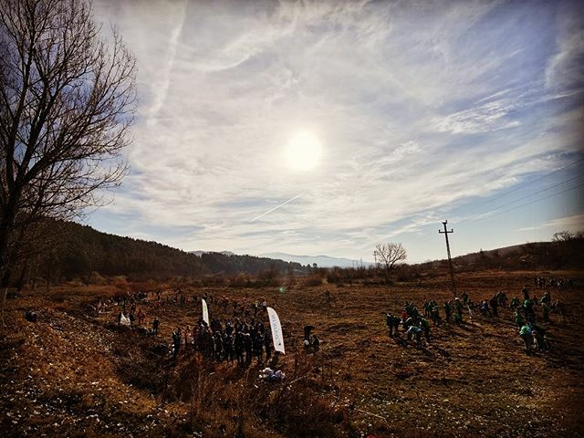 PlantamFB's tweet photo. Scorțoasa. https://t.co/veWzq6aYdl https://t.co/u4l6nXdcCi