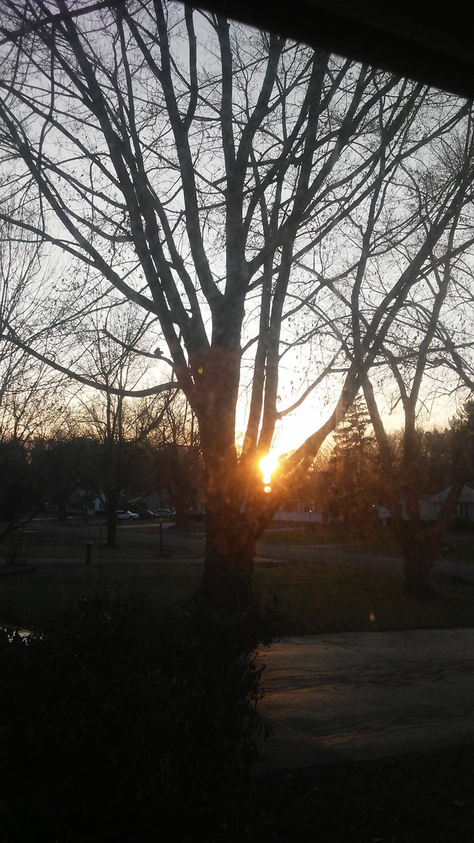 tortucand802's tweet image. #agreatstart🌞💖