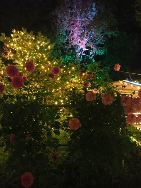 うるん わたしも初めて見てみて感動しました 是非好きな人誘って行きましょう