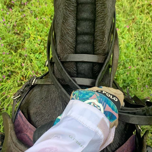 No rain stops these sets! It’s easy to turn a grey day into paradise at @lalomapolo! Thank you for the lovely string @jorgetassara76 .
.
.
#polo #polopony #poloponies #poloholiday #argentina #polo #poloplayer #pololife #pololifestyle #hookpolo #vakiano #caballosdepolo #twohe…