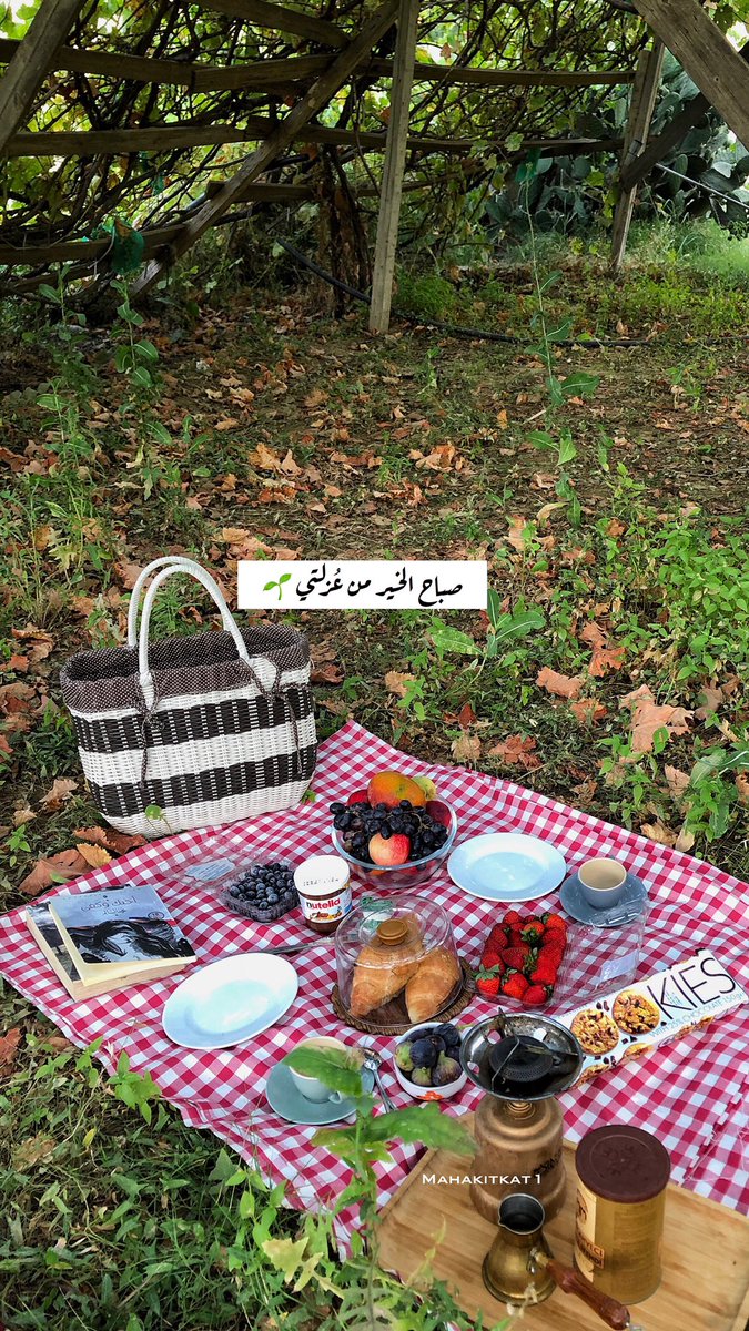 kaatkiit's tweet photo. @lojain20_ للصوره روح وللگلمة صوت 
آخلق مشآعري وآحآسيسي لگم هنآ🎻🌿✨ https://t.co/EKfoMt9t0D