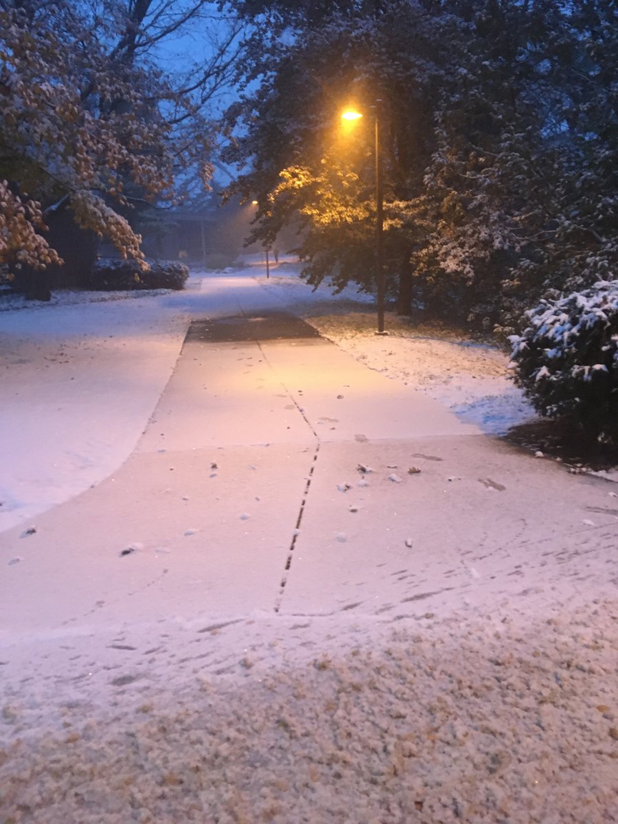 Snow?? msuriseblog.wordpress.com/2019/11/26/sno…