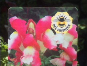 marthaconserva1's tweet photo. Well, 96% of people asked said they might be more interested in buying a plant if it would help bees! This suggests that garden centres could be a key point for influencing people's actions - especially as 2/3 of British adults visit a garden centre at least once a year. https://t.co/2Wod3Hlyh4