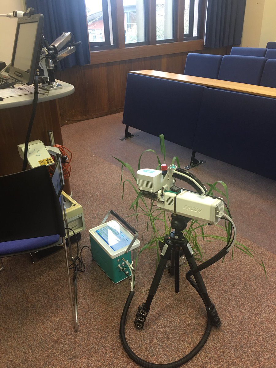 Stella Edwards tweet media