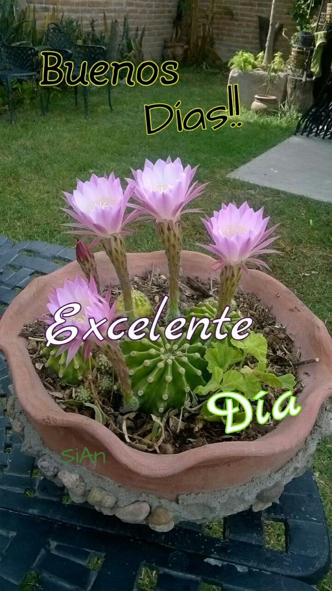 <a href="/SolyMar66091744/">SolyMar🌷</a> <a href="/mamanina736/">Alejandra</a> <a href="/ectacoinc/">Papelac</a> <a href="/ANGELA25G70/">@AngelaSavino</a> <a href="/silviasebille/">❤️Silvia S ❤️Amo los 👒</a> <a href="/anamvc1/">ANY= UNA DULCE ANGELITO/NO DM♥️🐶 ♥️🦁🤘.</a> <a href="/naebrob/">Rob Bean</a> @PaulRossPR <a href="/luzma04042407/">Luz Maria No MD ❌</a> <a href="/Claudin53662834/">Clau</a> <a href="/ranasilvia63/">Luna OM</a> <a href="/AAvallones/">Anita AV</a> <a href="/JoseLui48172148/">Jose Luis Corona</a> <a href="/jlferguson50/">Joe ☞#eReferenceDesk</a> <a href="/gornajur/">Esther Hermoso</a> <a href="/TShinkarenko/">Tamara Shinkarenko</a> <a href="/anitakearney65/">anita</a> <a href="/pantroymunra/">Supr Capitán América</a> <a href="/Luna_Om90/">Luna</a> <a href="/AnaRosa48418222/">Ana Rosa</a> <a href="/MeteoroRanger/">Meteoro Ranger</a> <a href="/nami_3535/">eri えり</a> <a href="/karamurat39/">karamurat</a> <a href="/solprytz/">Sol</a> <a href="/DebbieZimmer54/">Debbie</a> <a href="/kozo3114/">阿辺 幸兵衛</a> @7lupitacharo3 <a href="/nsaidian/">💃NS💃🇺🇸🕊</a> <a href="/marizulca/">Marisol ❤</a> <a href="/rose_galvao77/">R○s€</a> <a href="/reeves5150/">Debra Reeves</a> <a href="/Formosa60359811/">Maria.La Vang</a> @SbitnevaValay <a href="/LoveAnd69769401/">Love And Peace🇲🇽</a> <a href="/o_franco_aleman/">Franck Marc ✌</a> <a href="/mhall55nine/">Michael Hall</a> @Shadow135Simmi <a href="/SandraB16901827/">🌺🌺Ann🌺🌺</a> <a href="/HappyMy_Love/">💗Lyudmila💗🇷🇺🇷🇺🇷🇺</a> <a href="/KarenBarryDavi1/">Karen Barry-Davies</a> <a href="/VeraLciaEu2/">Vera Lúcia Eu2,</a> <a href="/ziziosama2gmail/">ZIZIT</a> <a href="/amiha_mu/">愛美羽 ⚜️Amiha⚜️ 通知不具合🙏</a> <a href="/sol/">Sol</a> Hola Sol buen día🌄 🌸🌷🙏🙌que pases un día magnífico 🙌🙌🙋‍♀️gracias por tus bellos mensajes 🤗 Dios te colme de Bendiciones 🙏🙏🙏🙏🙌🍂☕🍁