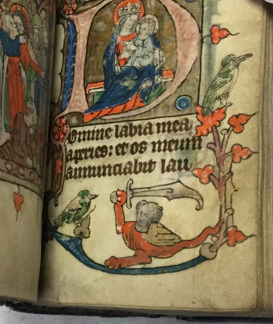 StonyArchivum's tweet image. Today’s choice @Stonyhurst for @explorearchives #SurprisingArchives speaks for itself #whatsgoingonhere #whatevenisthis #bitharsh #medievalmanuscript