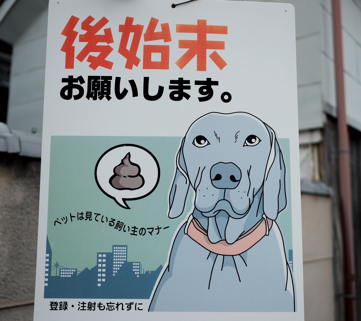 もも 犬の飼い主へ注意の看板 恥ずかしがる犬 めっちゃ怒る犬 無表情な犬 などバリエーション豊かだ ちゃんと後始末しましょう 近所にて もも 犬の飼い主へ注意の看板 恥ずかしがる犬 めっちゃ怒る犬 無表情な犬 などバリエーション豊かだ ちゃんと後始末しましょう 近所にて