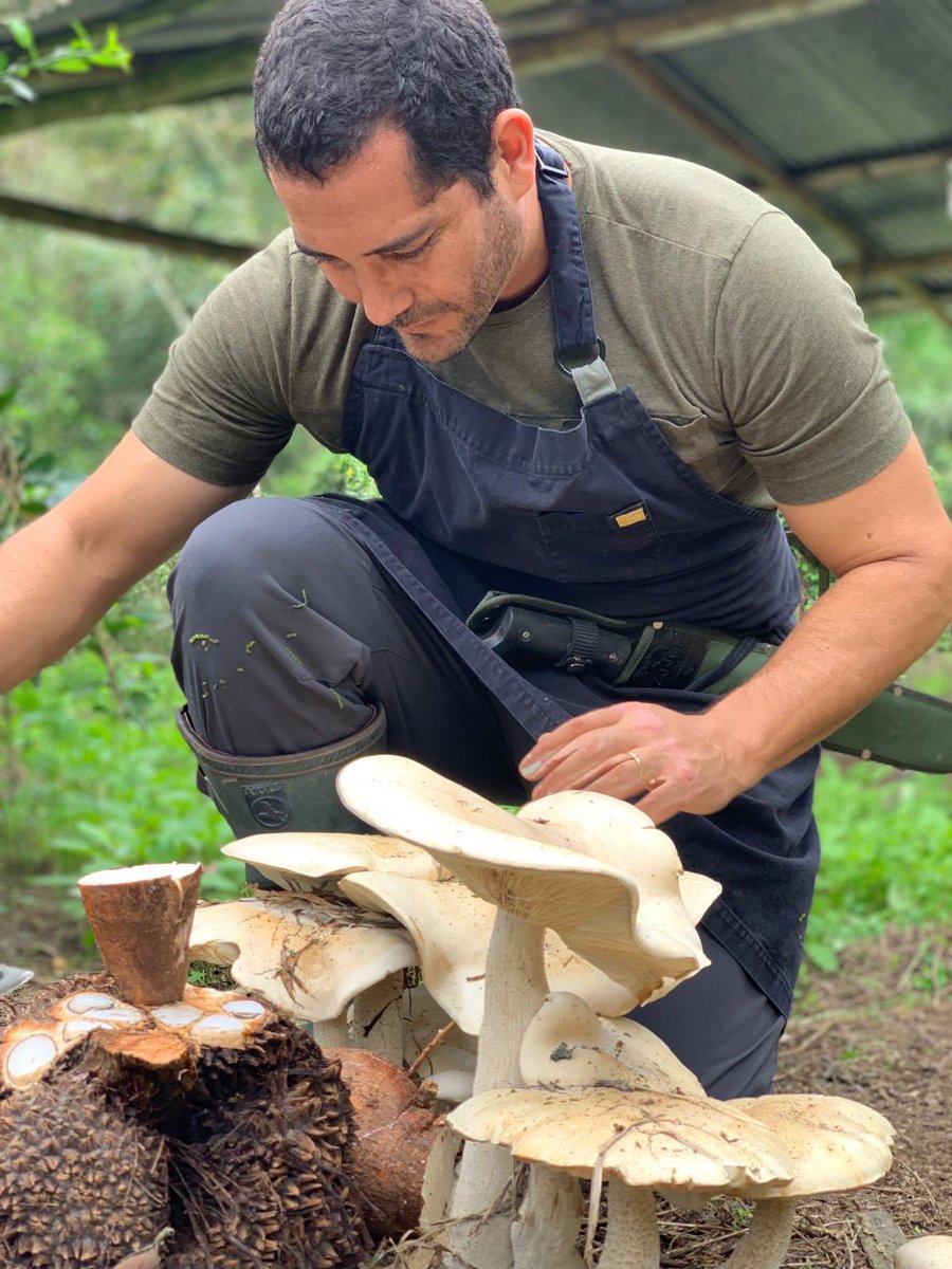 EmbajadaEcuISR's tweet photo. Última Sesión Colorfood Ecuador en Puerto Cayo con chef @rodrigopachecoE (@LasTanusashotel ) https://t.co/VdK0ZxmqJj
@CancilleriaEc @TurismoEc
#LlevamosEcuadorAlMundo #VisitEcuador #ColorfoodEcuador #colorfood https://t.co/A2O0mmLkWD