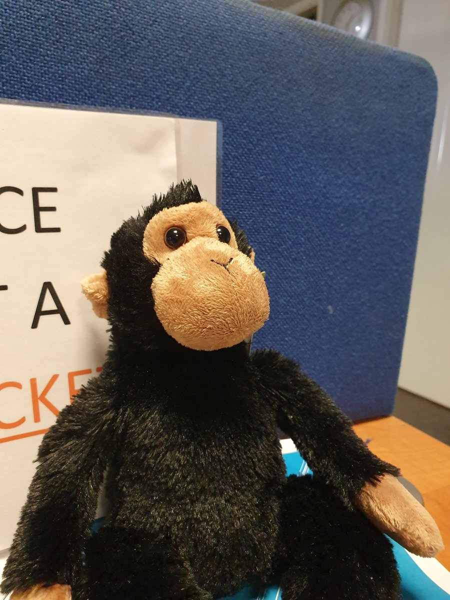 essystemsltd's tweet photo. Meet our new ES Systems mascot,
please feel free to ask him for support he'll be more than happy to help 🐒 #chimp #TeamTime2Shine https://t.co/yVFPHpWuFM