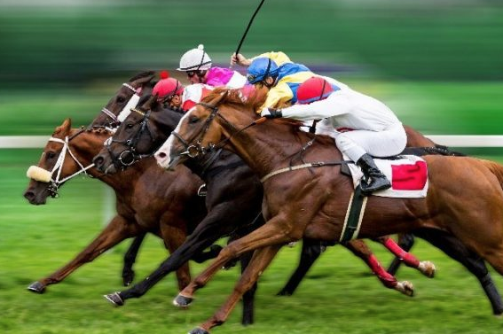 LatitudeCommer1's tweet photo. ** SECTORS * Unpaid Business2Business invoices affect everyone, small, medium and large companies alike. Even Horses! Can you guess our latest clients area of work :) #invoicerecovery #collections #LatitudeCES #personalservice #debtsolutions #debt #enforcement #unpaidtrainerfees https://t.co/tNRN12wQg1