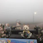 まるでホラー…シルバニアビレッジの衝撃的な光景