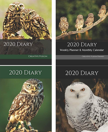 Owls 2020!

 amzn.to/2D3uM5b

#owls #cuteowls #Raptors