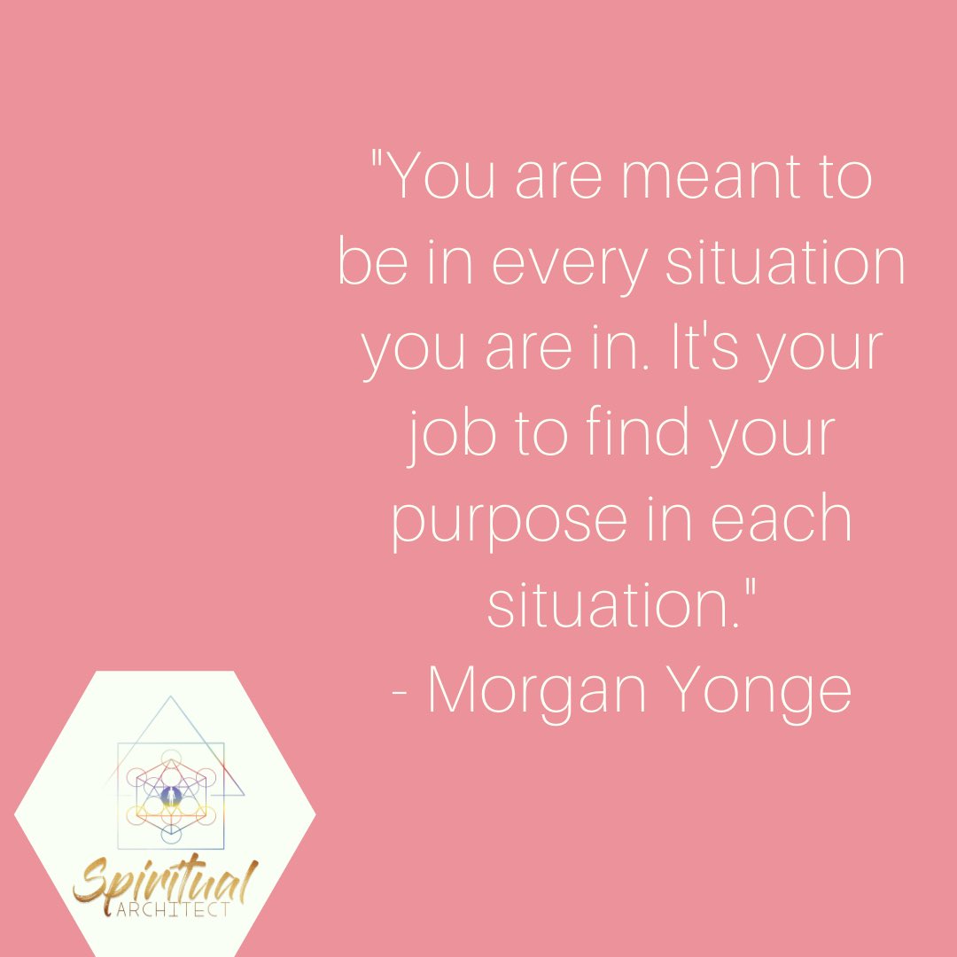 YongeMorgan's tweet photo. No matter where you find yourself today, find your purpose in those circumstances 🌻 

⁣Every situation is either for a blessin’ or a lesson 🌸 ⁣
⁣
It just depends on what filter you see it through. ⁣ https://t.co/h1rR632zoy