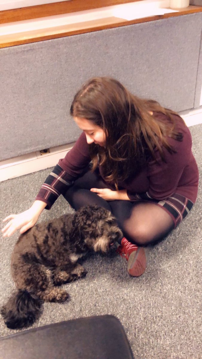 DomCotter's tweet photo. We’re having so much fun on the @BBCGlos lunchbreak with @JustShutUpDance &amp; @hymnsheetharris and of course CHIP THE DOG !! So cute https://t.co/pduSFeBLKm