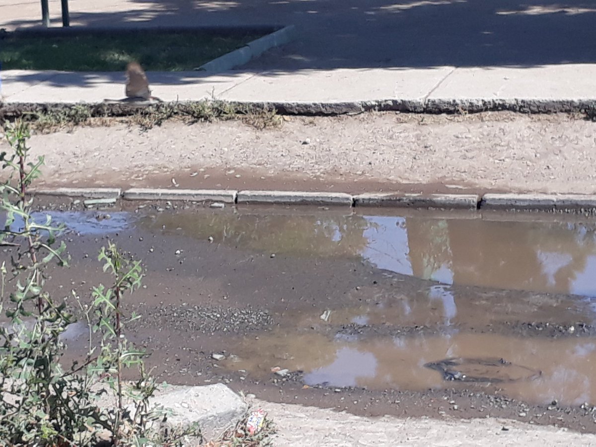 KarismeD's tweet photo. @SMAPA_MAIPU 
Buen día, desde el sábado estamos soportando el mal olor de una cámara de aguas servidas que esta saliendo agua hacia la calle fuera de la casa y frente al Colegio.
Esto es en Est.Central. pje la Bahía con pje la Garrocha. Villa Francia.
Nadie contesta en smapa. https://t.co/E1tnWf4ugp