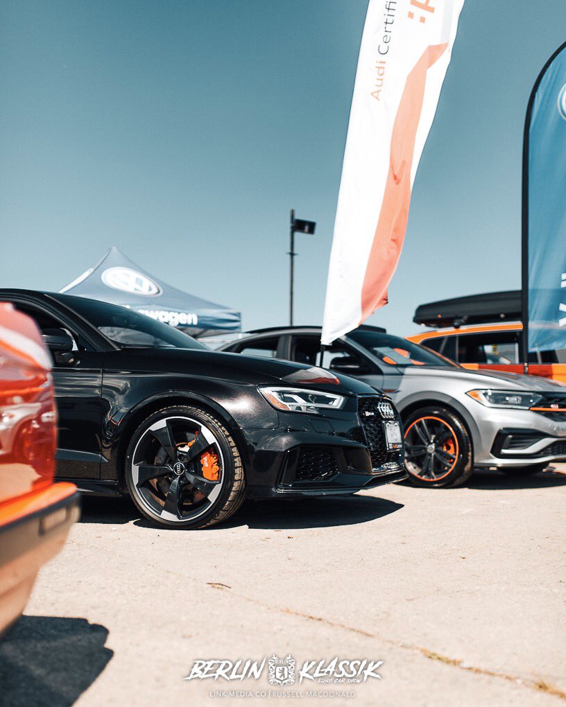 BasisVisuals's tweet photo. Talk about variety https://t.co/333XLtqllA