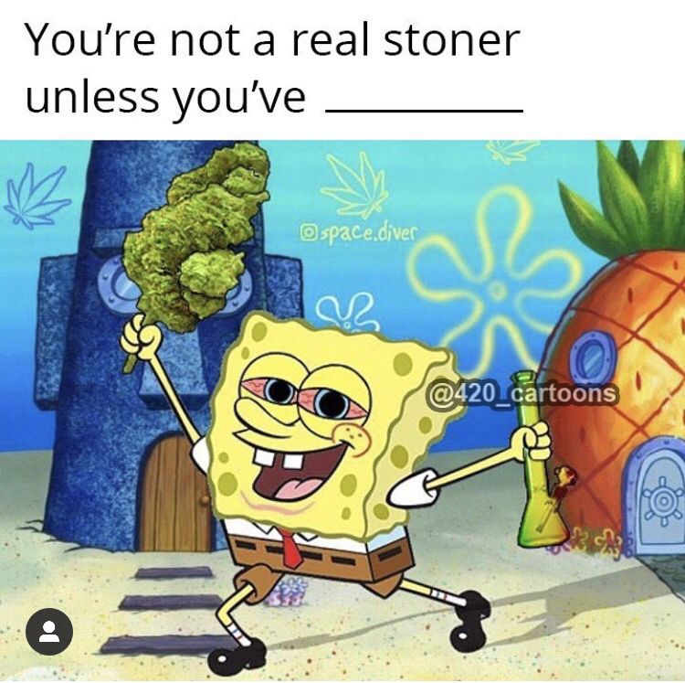 ForStonersProd's tweet photo. Comment below with your answer👇
#spongebobmeme #realstoners #terpenes #ForStoners #420life #420 #weed #weedhumor #weedhumor420 #dank #dankweed #420lifestyle #weedlifestyle #weedlife #weedmemes #420memes #dankmemes #stonerlife #stoner #stoned #high #highaf #stonedaf #cannabis https://t.co/fONnbAmszo