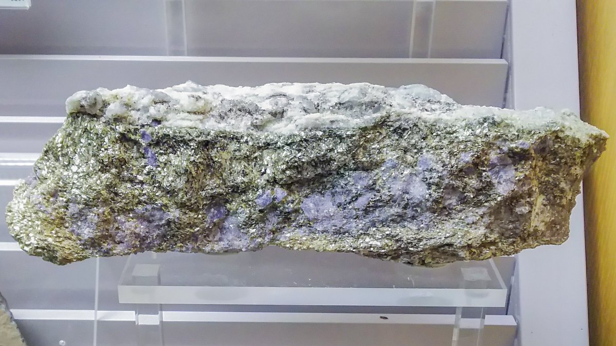 晶洞 Biotite Corundum Marble Upper Part Phlogopite Spinel Skarn Lower Part 黒雲母 コランダム結晶質石灰岩 上部 金雲母 スピネルスカルン 下部 産地 南極大陸 スカーレン宗谷海岸 所蔵 東北大学理学部自然史標本館 T Co Eyu1vrml8o