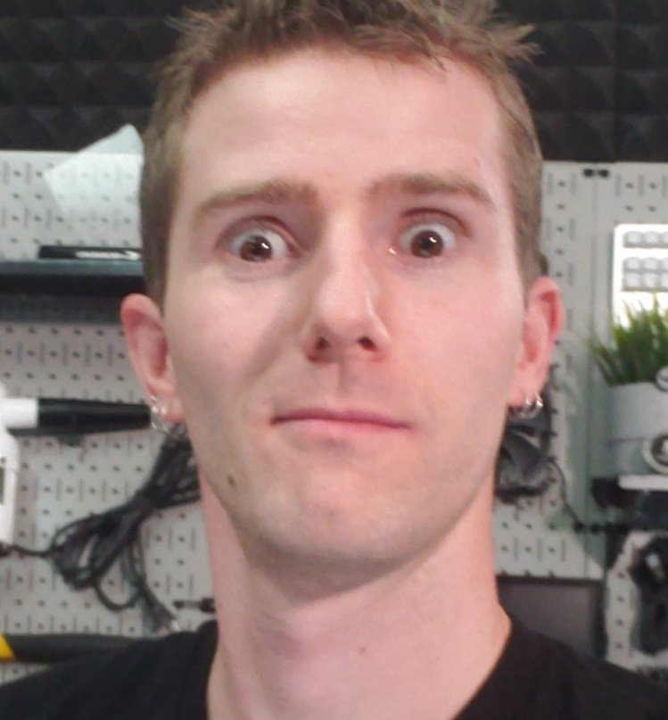 Linus tech tips earrings