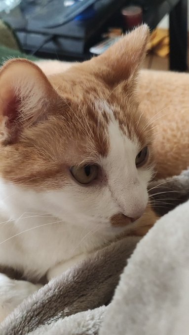 Yo yesterday was crazy ty for being there https://t.co/qiuV51eGqG<a href="/tag/lsd"class="tags"><span>#lsd</span></a>