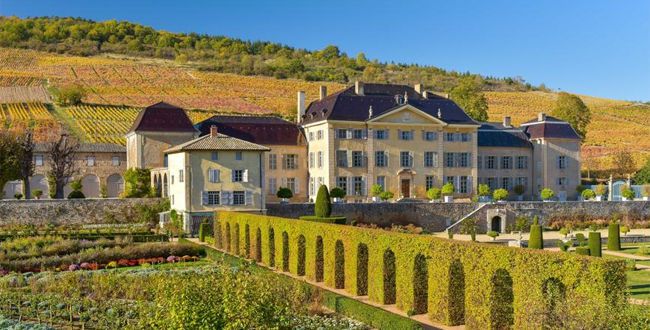 beauxvins's tweet photo. RT @Figaro_Avis_Vin : #Vin - Le château de la #Chaize, roi du #Beaujolais
https://t.co/bL0dZOXGKj https://t.co/DTGRrD8K2b