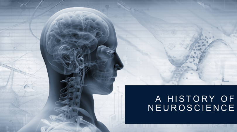 KentScientific's tweet image. In our latest #KentConnects blog post, we explore the history of neuroscience and major neuroscience discoveries using mouse models. ow.ly/IeVg50xkYVi