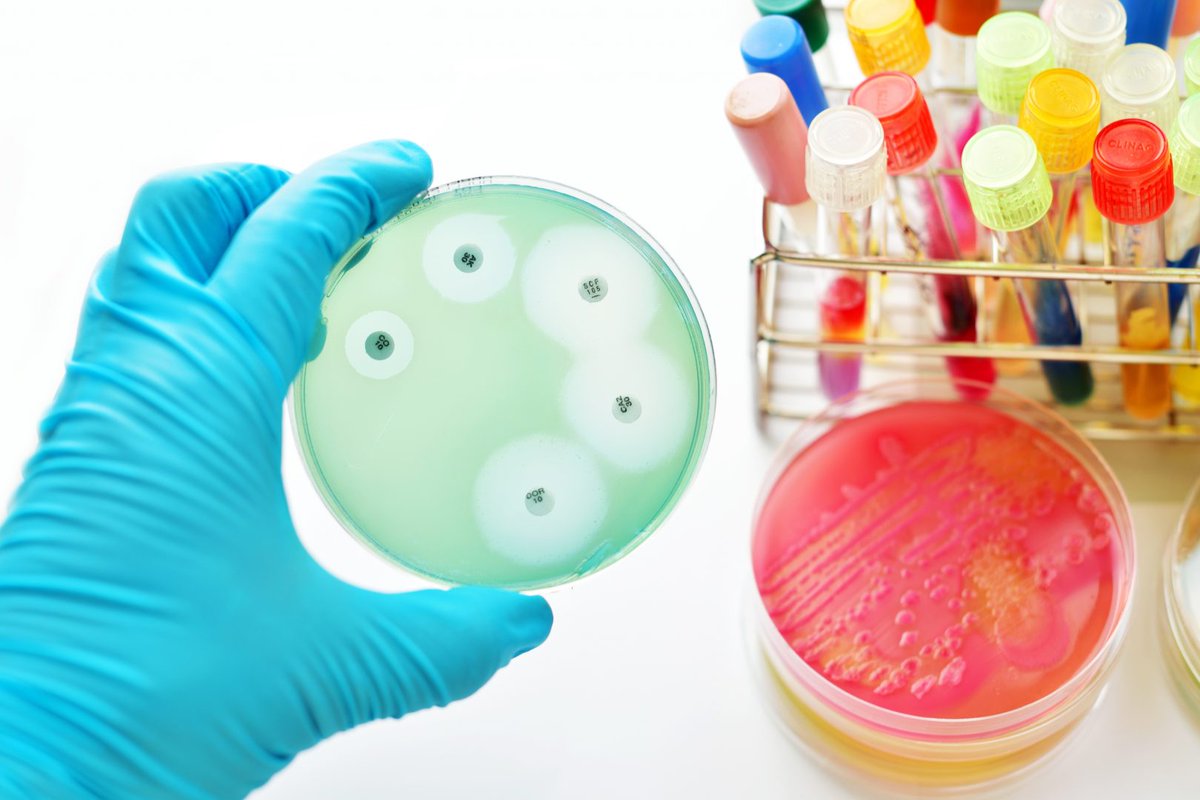 Katherine_marcs's tweet photo. #Antimicrobial Susceptibility Testing Market to Exceed $3.95 Billion by 2025

Get more info:https://t.co/Wol0Ey5ZuG

The high growth of antimicrobial #susceptibility testing market is mainly attributed to the rising global incidences of #infectious #diseases https://t.co/dwAIHarLAB