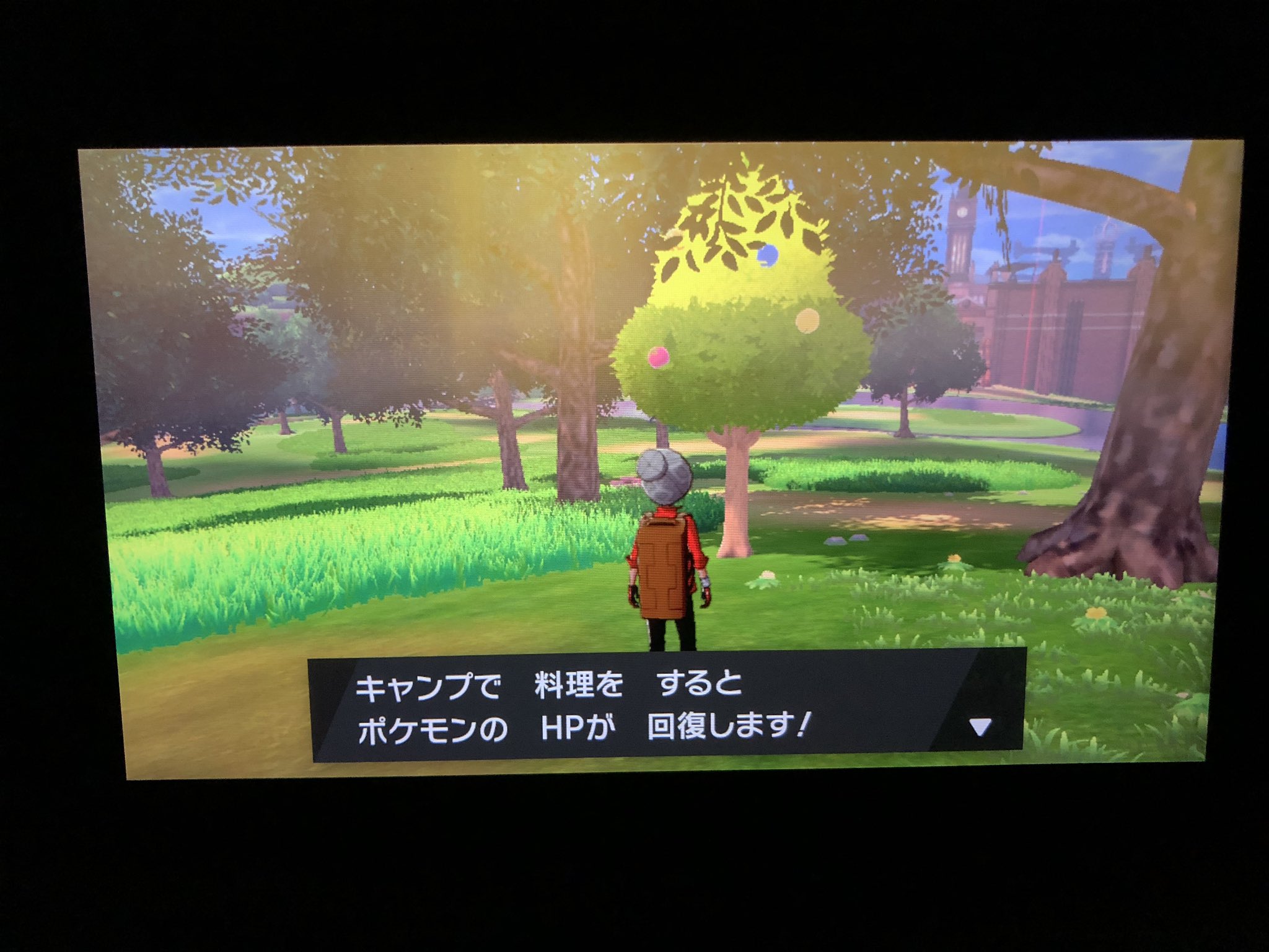 フカヒロ Pixivリクエスト３作目納品 アキラのガラル冒険記 きのみ の成っているように見える木の手前で キャンプに関するメモを手に入れる へぇ カレーを食べればポケセンや回復役が居なくても 自力で回復出来るのか ポケモン達が疲れたり瀕死になっ
