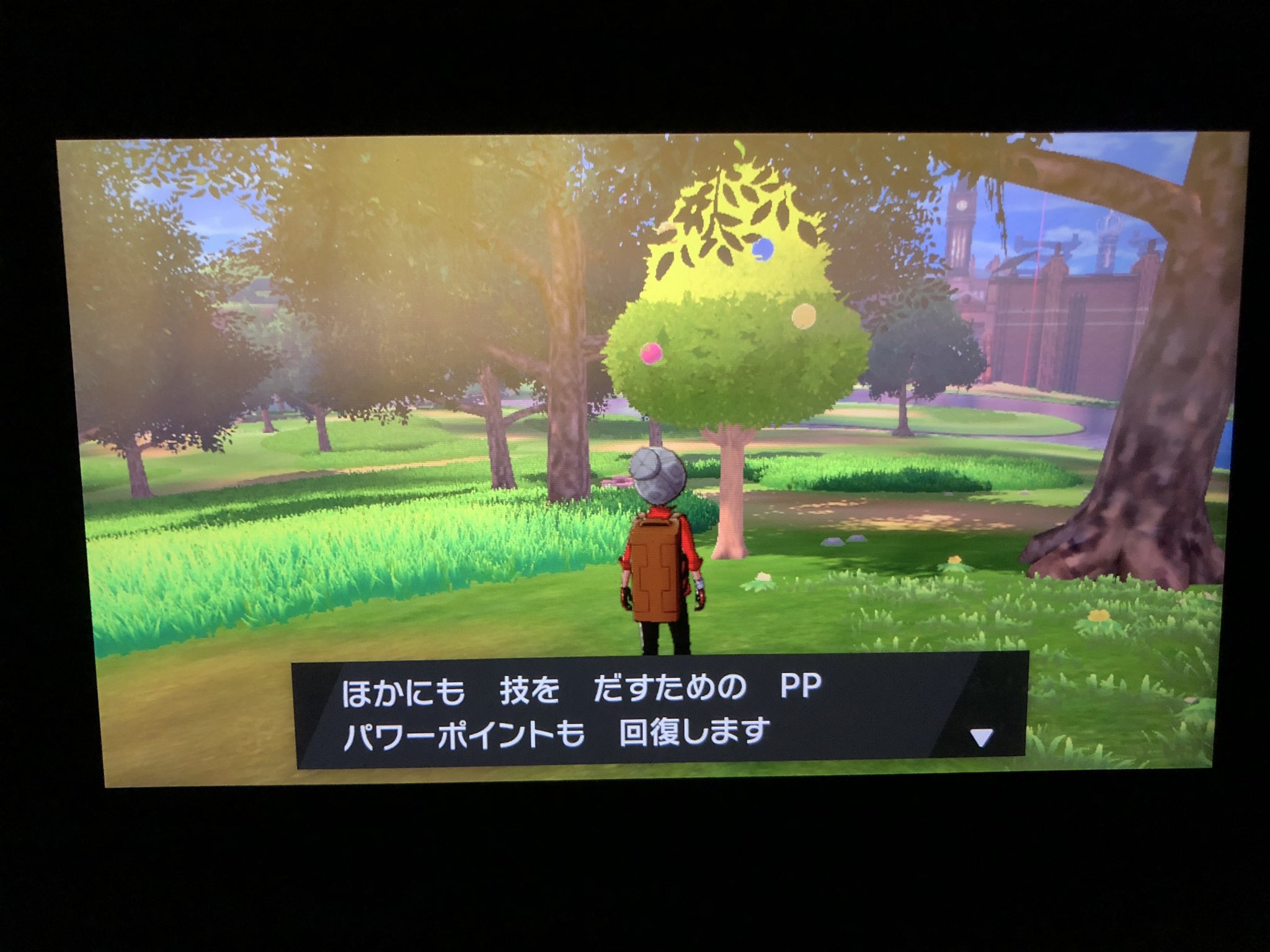 フカヒロ Pixivリクエスト３作目納品 アキラのガラル冒険記 きのみ の成っているように見える木の手前で キャンプに関するメモを手に入れる へぇ カレーを食べればポケセンや回復役が居なくても 自力で回復出来るのか ポケモン達が疲れたり瀕死になっ
