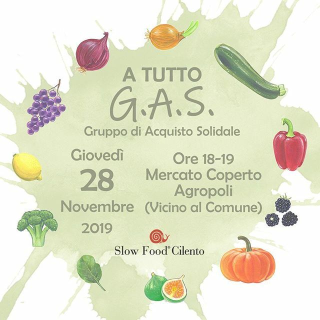 SlowFoodCilento's tweet photo. Ti aspettiamo al Mercato Coperto di Agropoli (via Chili) Giovedì 28 Novembre per darti tutte le informazioni sul Gruppo di Acquisto Solidale Slow Food Cilento: https://t.co/YVLNaBYWBI https://t.co/OuYLfpLGOh https://t.co/0bquSlvAyC