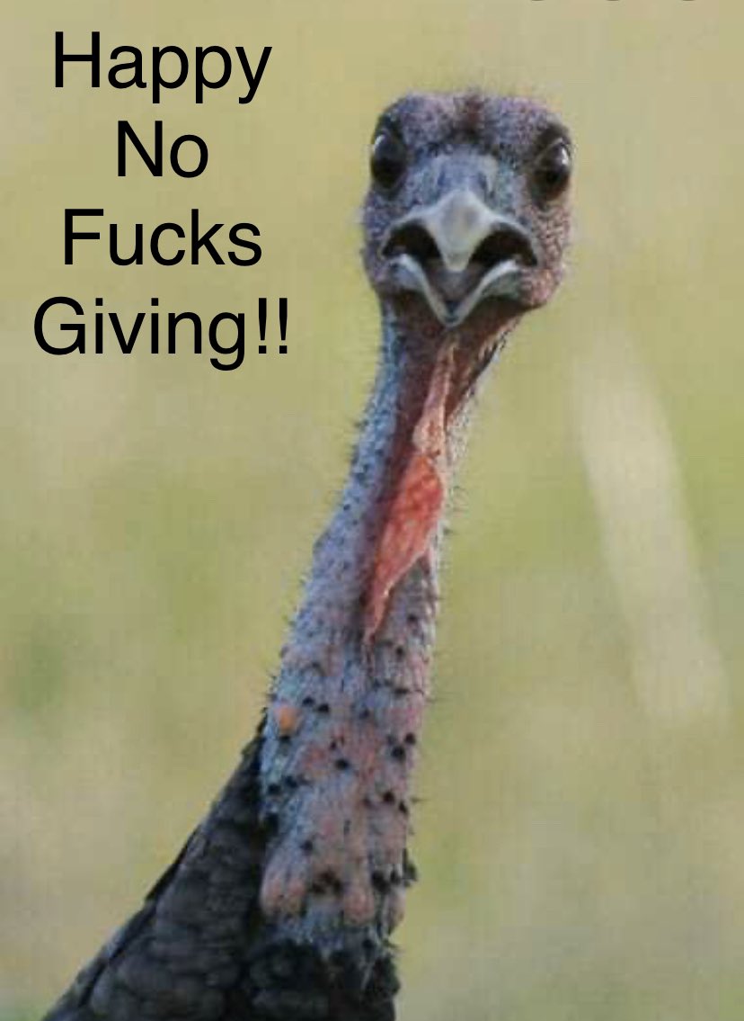 radish the gnome (@opossumchambers) on Twitter photo 