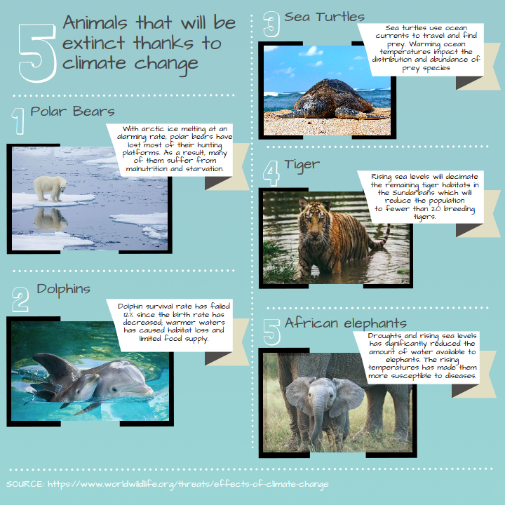BWUPublicHealth's tweet photo. Climate change is jeopardizing all of our favorite animals, what's next for us? https://t.co/gBF4AR4NSq