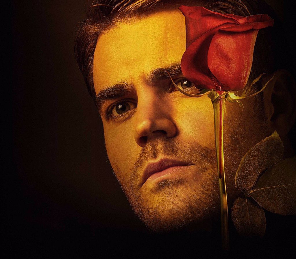 Paul weeks. пол радд сейчас. скотт лэнг. картинки на рабочий стол. пол мальчика на узи 20 недель.