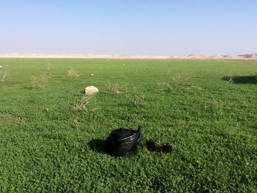 aburaid11's tweet photo. عصر اليوم الثلاثاء 1441/3/29 في إحدى فياض الحجرة جنوب روضة الهباس تصوير محمد الحماد https://t.co/OJUATvQXOG