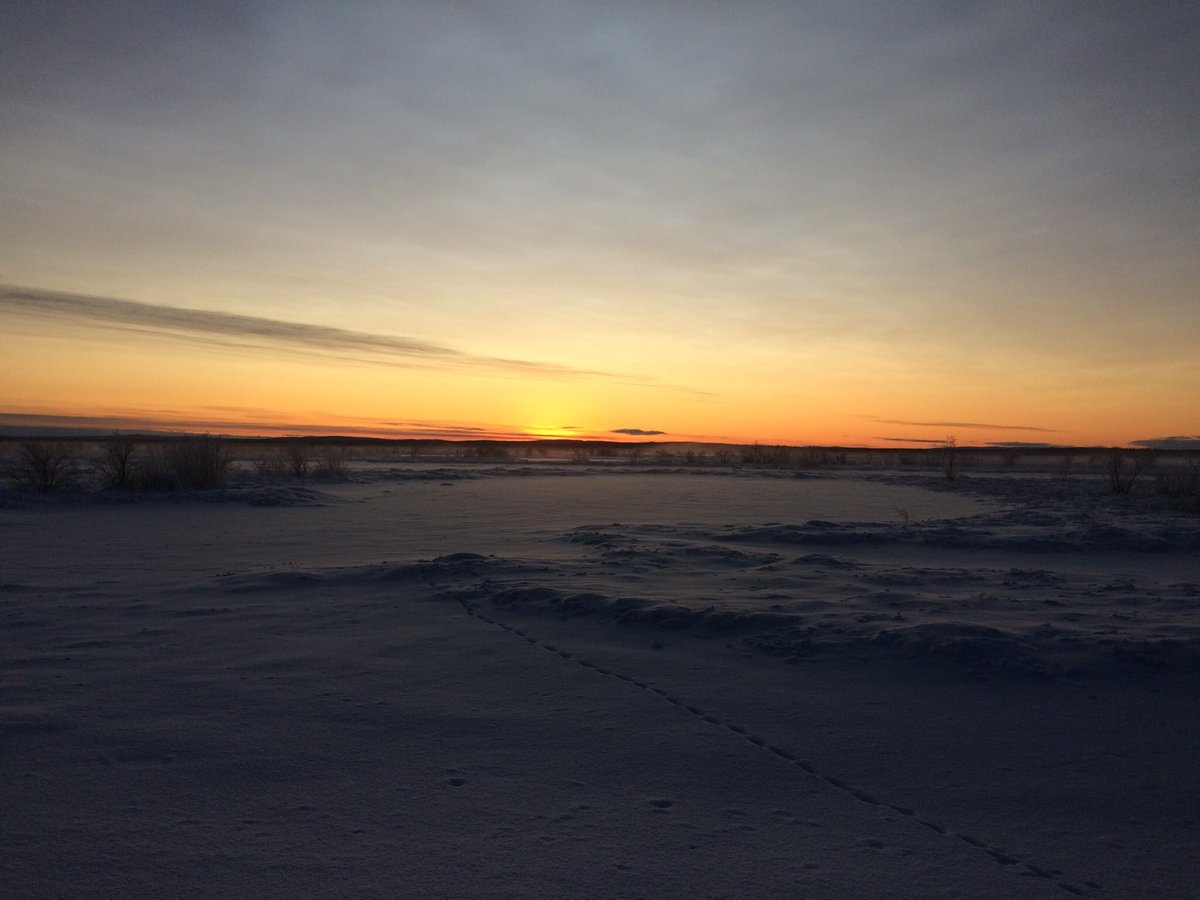 365offgrid's tweet image. Sun is going down and time is 2pm. North sweet north.  
#offgrid
#bugout 
#adventure 
#tactical 
#edc 
#mountains 
#survival 
#warrior 
#viking
#frontier 
#wilderness 
#outdoors 
#knife 
#hunting 
#climber 
#mountainman 
#life 
#freedom 
#love
#professional
#nomad
#bushcraft