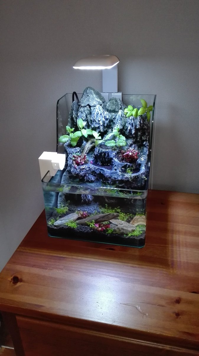 Belzeb78's tweet image. #IUseMyRaspberryPiFor my fish tank feeding bot!
bit.ly/2qDqVJx