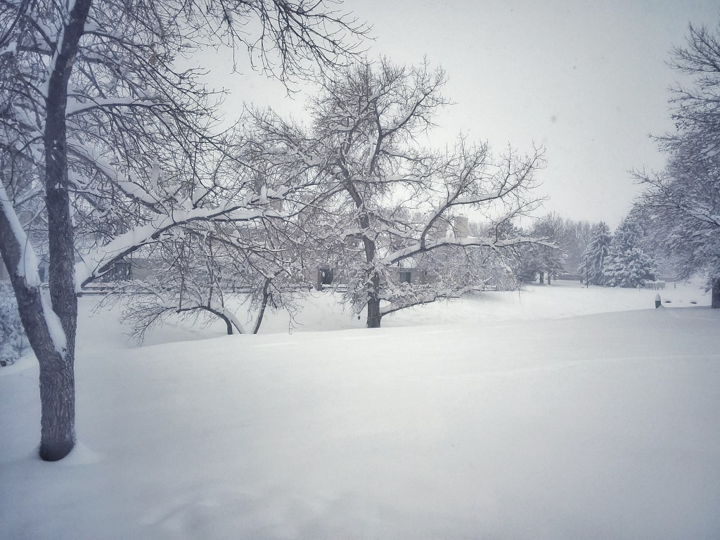 InkWorksFC's tweet image. Delayed Due To Weather. Ink Works will open at noon as soon as we dig out. Enjoy the snow Fort Collins! inkworksfc.com/posts/delayed-…