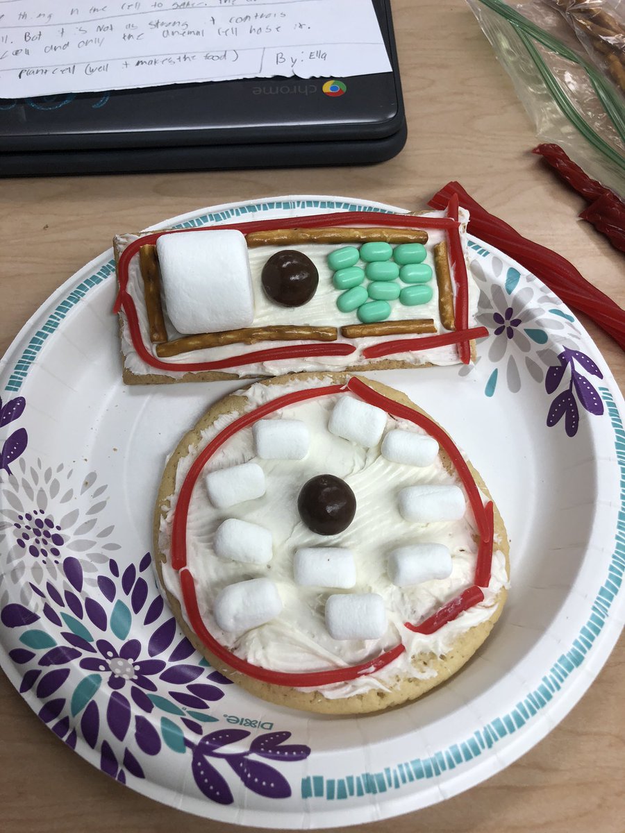 Edible plant and animal cells in fifth grade today! ❤️