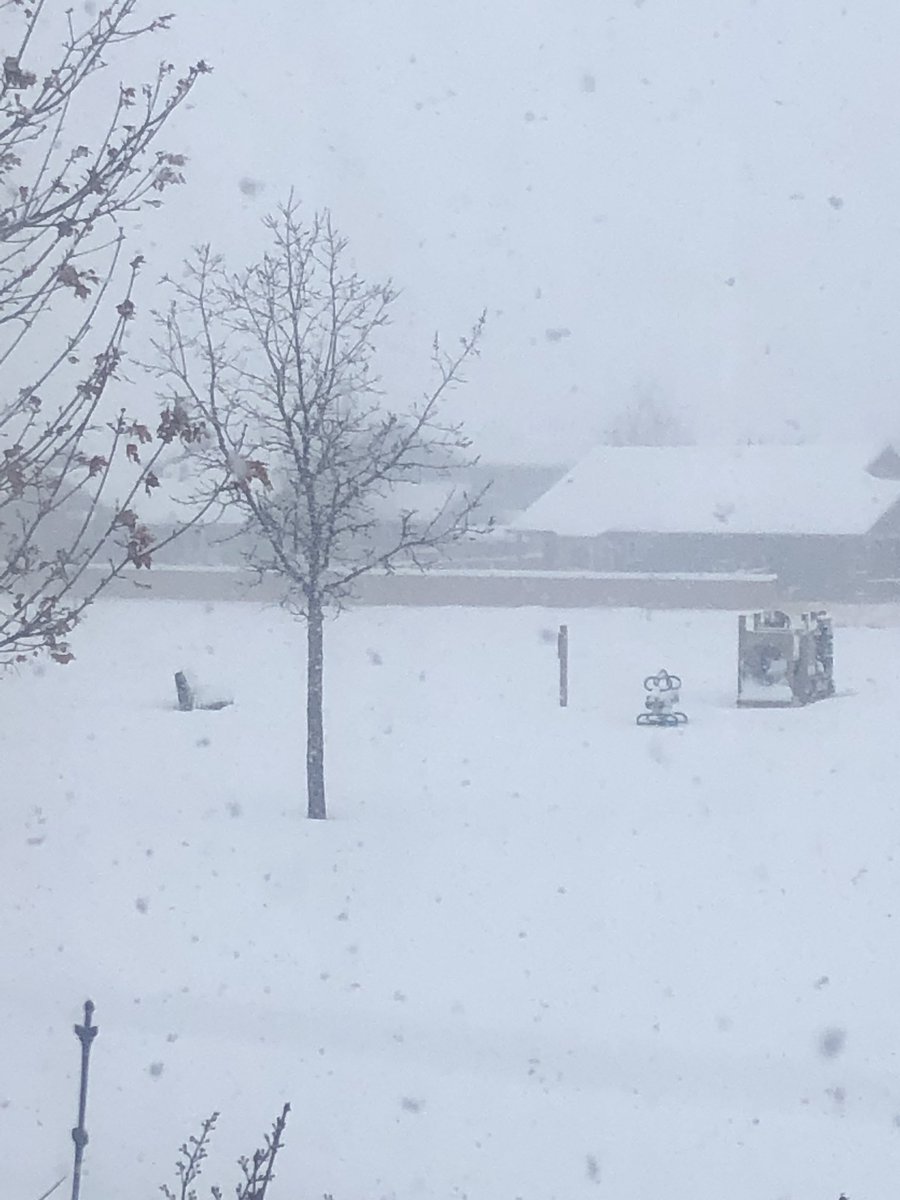 Carebear108's tweet photo. #9WX snow still coming down in NW Loveland! https://t.co/tbS2pGHKNQ