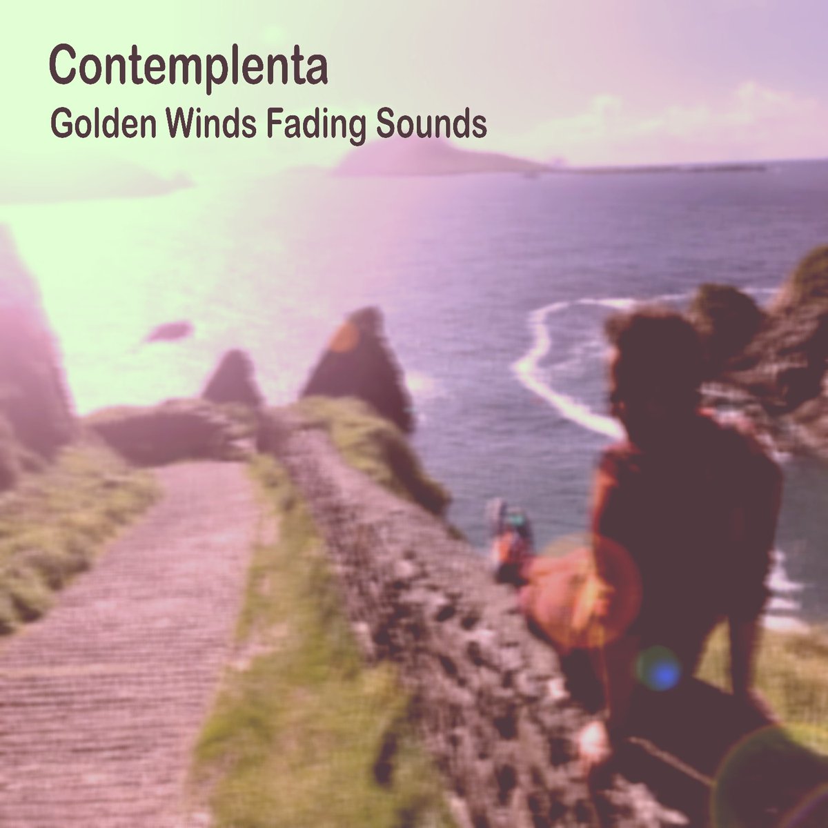 Contemplenta tweet media