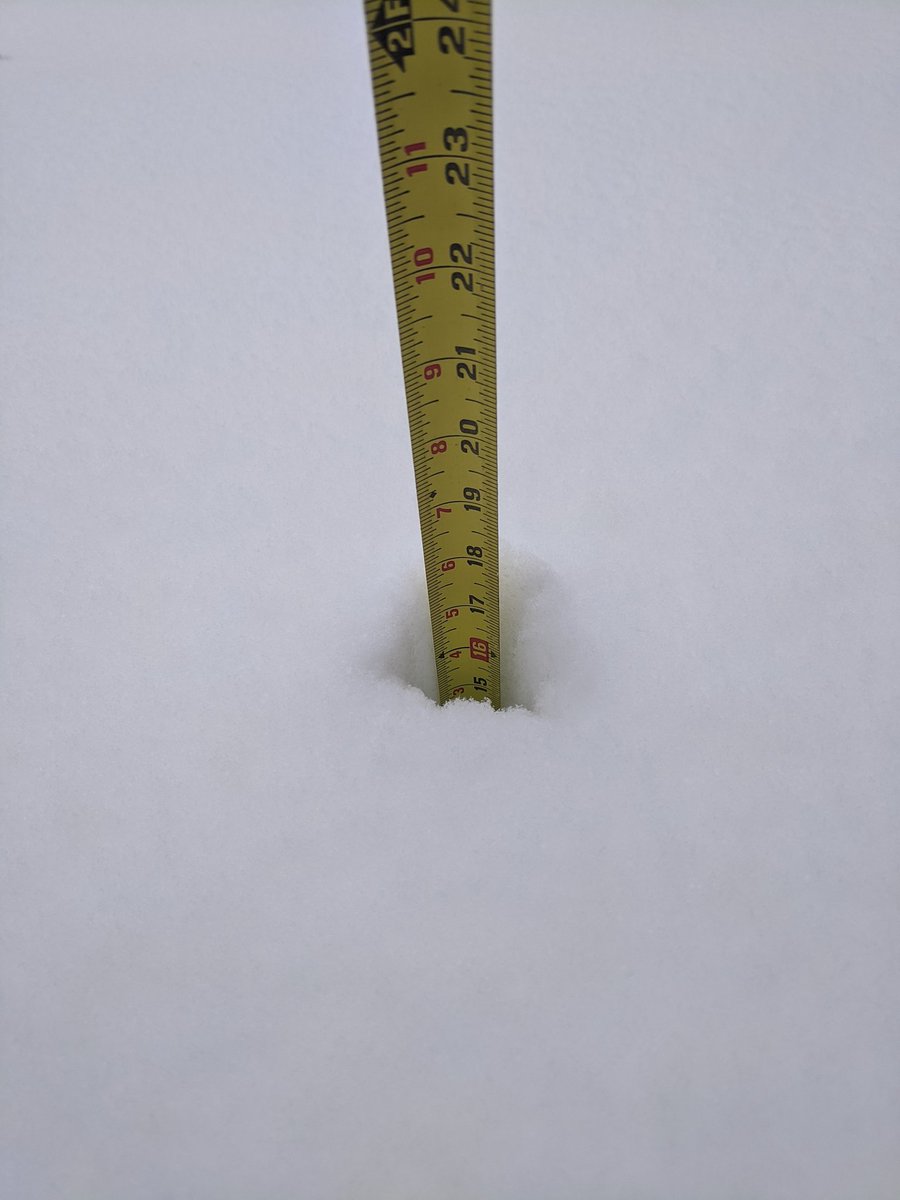 BeccaWrote's tweet photo. Snow day in Boulder 😁 https://t.co/ZQ60D3R1qm