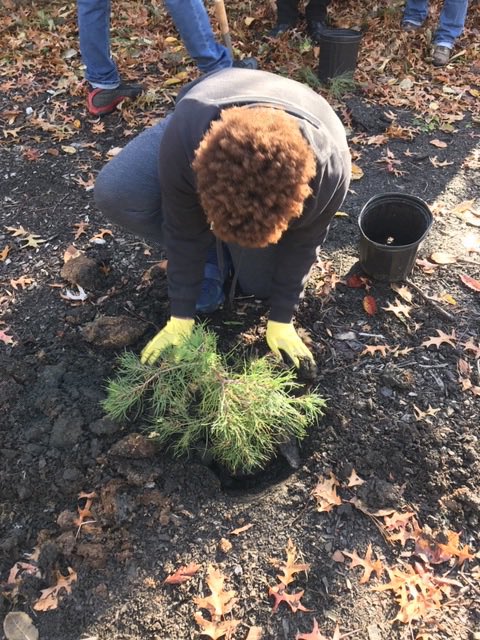 DP Charter High tweet media