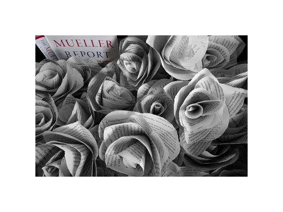 Wrather86's tweet image. In the beginning, I made The Mueller Report into roses.
The Rose is the National Flower of the United States, 
in 1986 it was designated to be the official flower and floral emblem of the United States of America. 
The rose symbolizes, love, beauty, war and politics.