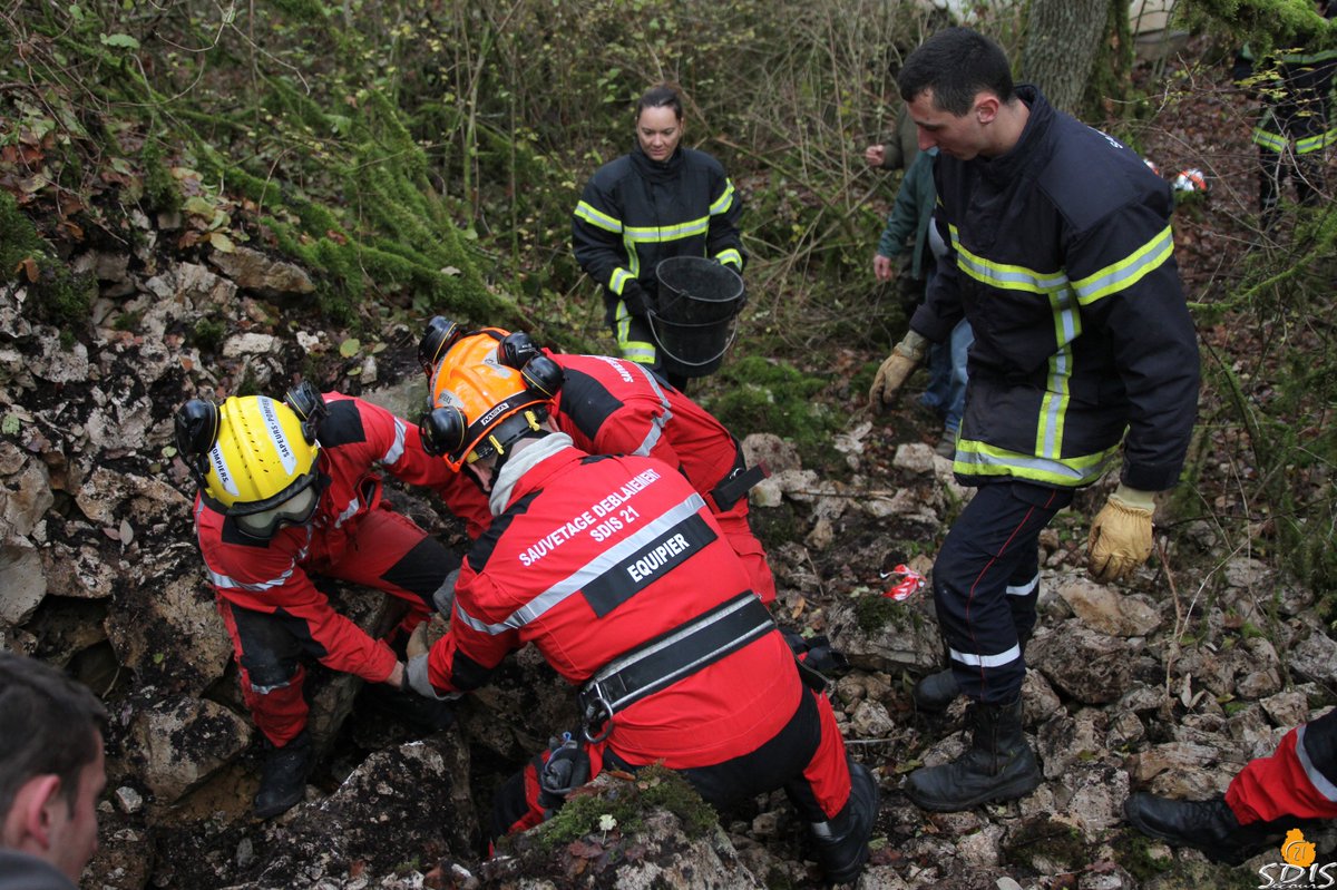 sdis21's tweet image. Hier, des sapeurs-#pompiers de #CôtedOr, dont l'équipe #SauvetageDéblaiement, ont sauvé un #chien piégé dans un enrochement de route. 
Les sauveteurs ont procédé à une désobstruction manuelle des blocs et à l'étaiement du site. Le chien a été sorti sain et sauf.
@30millionsdamis