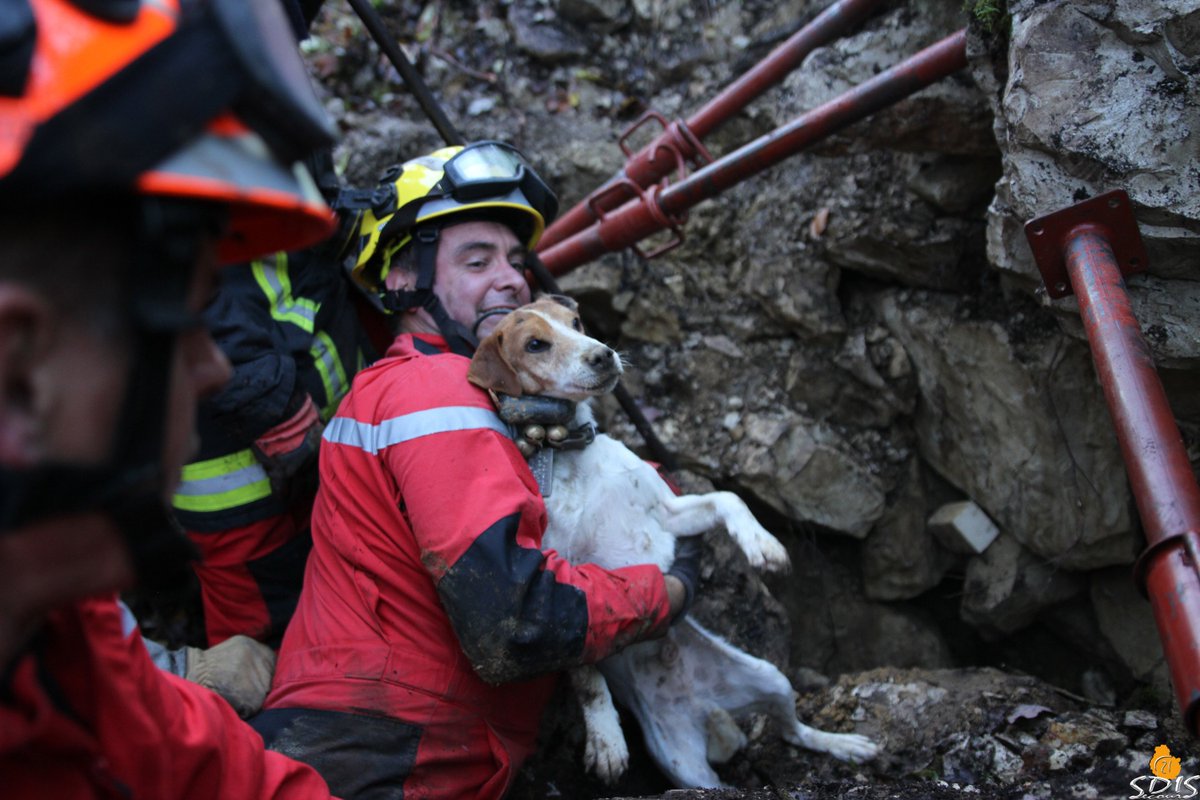 sdis21's tweet image. Hier, des sapeurs-#pompiers de #CôtedOr, dont l'équipe #SauvetageDéblaiement, ont sauvé un #chien piégé dans un enrochement de route. 
Les sauveteurs ont procédé à une désobstruction manuelle des blocs et à l'étaiement du site. Le chien a été sorti sain et sauf.
@30millionsdamis
