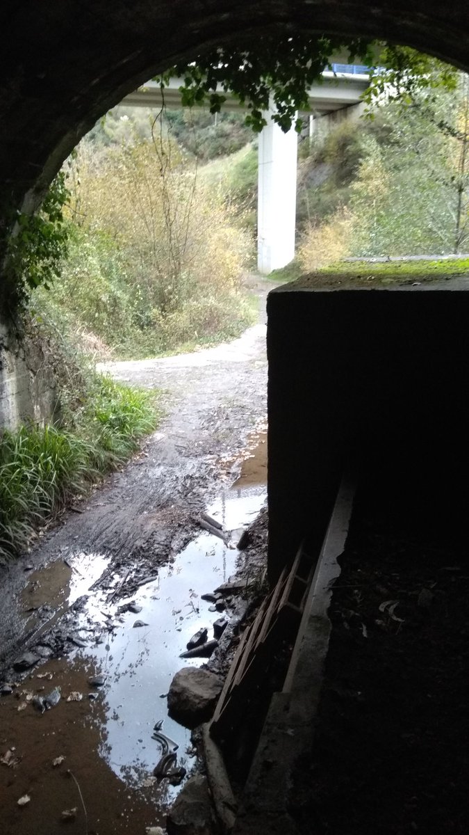Gaaattu's tweet photo. A ver cuándo se ponen de acuerdo los ayuntamientos de Barakaldo y Trapagaran para acondicionar un poco los túneles de Kareaga, que vaya escombrera más oscura tienen ahí. @amaiadelcampo @xabier_cuellar https://t.co/mF7Ha8SL4j