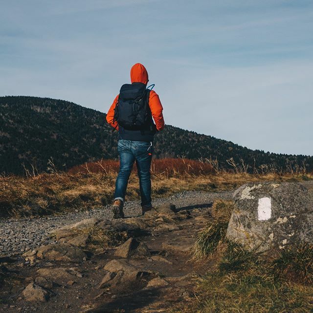 Looking for a way to burn all  those extra Thanksgiving calories? Check out the free guided hikes being offered at Sycamore Shoals and Roan Mountain State Parks on Friday! Visit this link for more information and to register: ift.tt/33m5mKz

#o… ift.tt/2Ol4di4