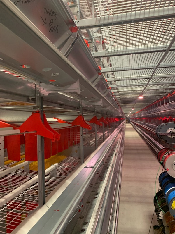 Open house for enriched barn and grading station in Rivière-Hèva, Quebec today 10am to 4pm <a href="/farmerautomatic/">Farmer Automatic CA</a>