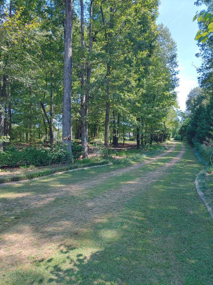 JustinTuckerTe1's tweet photo. 368 Bishop Troutt Rd in #WestmorelandTN is move in ready!
✔️3 bedrooms
✔️2 bathrooms
✔️2070 sq ft
✔️2 acres
👉$155,000
More information here: https://t.co/4xsKQSlXvk
#JustinTuckerTeam #ReMaxElite #realestate #middleTNrealestate #forsale #houseshopping #house #houseforsale https://t.co/vJ0qrBKrur